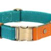 ⭐️Allpaws⭐️ - Two Tone Executive Dog Collar - DarkCyan / S / No