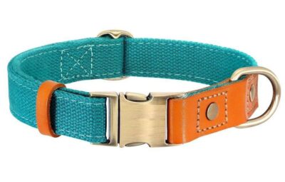 ⭐️Allpaws⭐️ - Two Tone Executive Dog Collar - DarkCyan / S / No