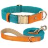 ⭐️Allpaws⭐️ - Two Tone Executive Dog Collar - DarkCyan / S / Yes!