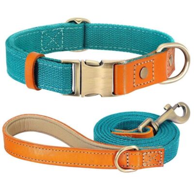 ⭐️Allpaws⭐️ - Two Tone Executive Dog Collar - DarkCyan / S / Yes!