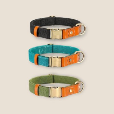 ⭐️Allpaws⭐️ - Two Tone Executive Dog Collar - DarkOliveGreen / S / No