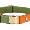 ⭐️Allpaws⭐️ - Two Tone Executive Dog Collar - DarkOliveGreen / S / No