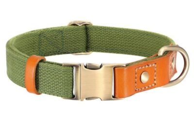 ⭐️Allpaws⭐️ - Two Tone Executive Dog Collar - DarkOliveGreen / S / No
