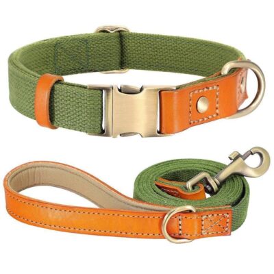 ⭐️Allpaws⭐️ - Two Tone Executive Dog Collar - DarkOliveGreen / S / Yes!