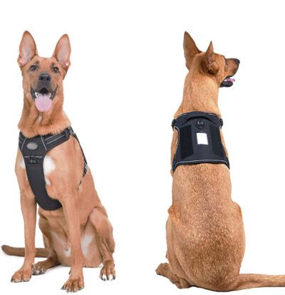 Dog Harness (MDHN-003) SIZE M