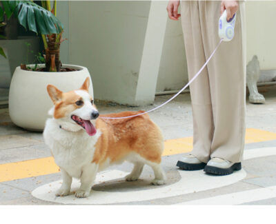 Touch light automatic traction rope