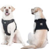 Dog Harness (MDHN-003) SIZE M