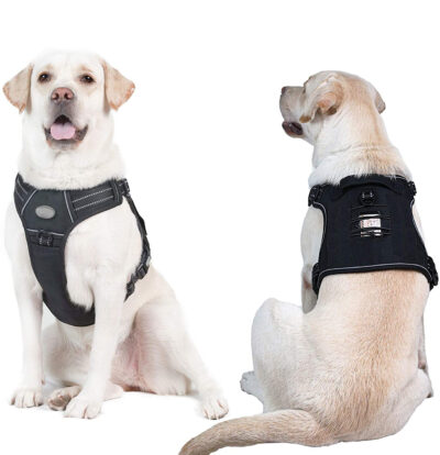 Dog Harness (MDHN-003) SIZE M
