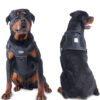 Dog Harness (MDHN-003) SIZE M