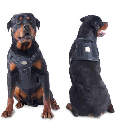 Dog Harness (MDHN-003) SIZE M